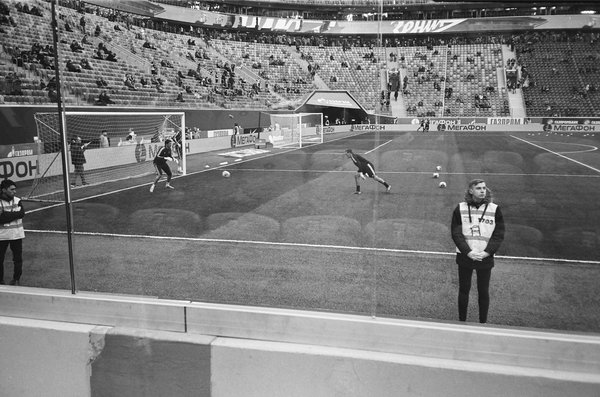 Welche Supplements sind tatsächlich hilfreich für den Muskelaufbau?